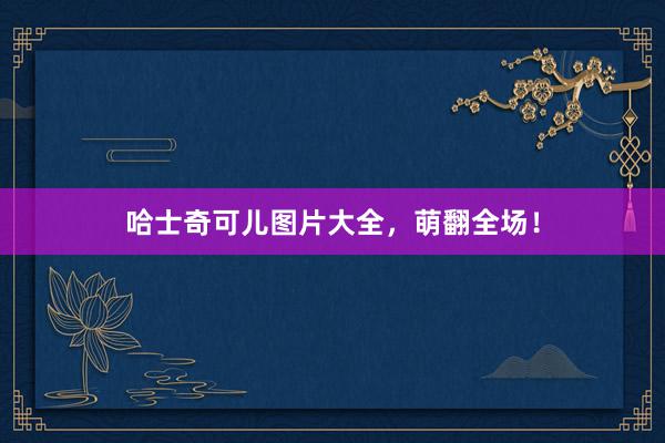 哈士奇可儿图片大全，萌翻全场！